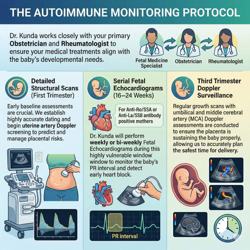 Fetal Medicine Monitoring