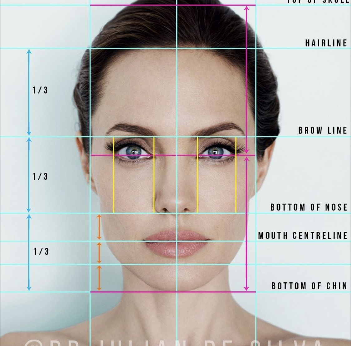 Facial Profile Harmony